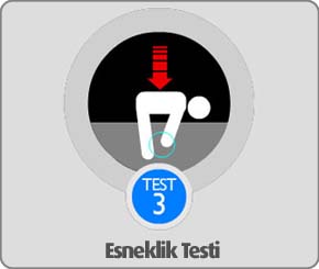 Jinsei Esneklik Testi