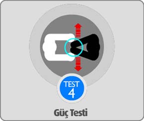 Jinsei Güç Testi